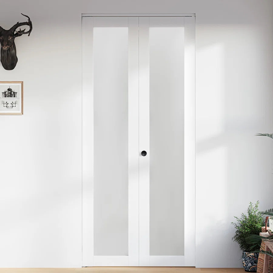 Frosted Glass Closet Door with Hardware Kit