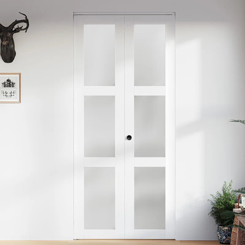 Frosted Glass Closet Door with Hardware Kit