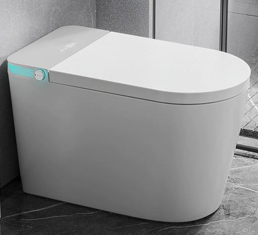 Smart Bidet Toilet